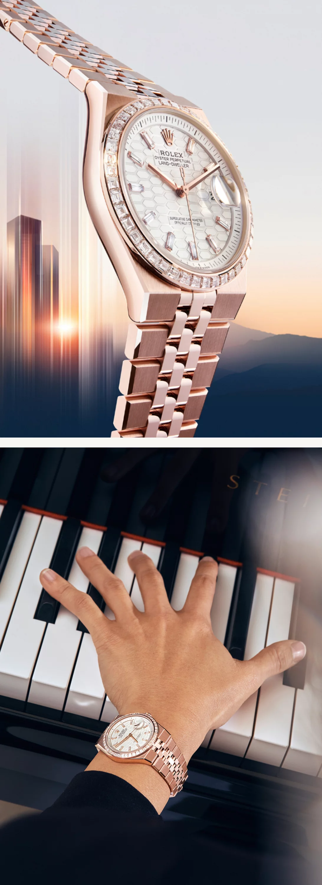 Rolex Land-Dweller Watches | ZEGG Watches