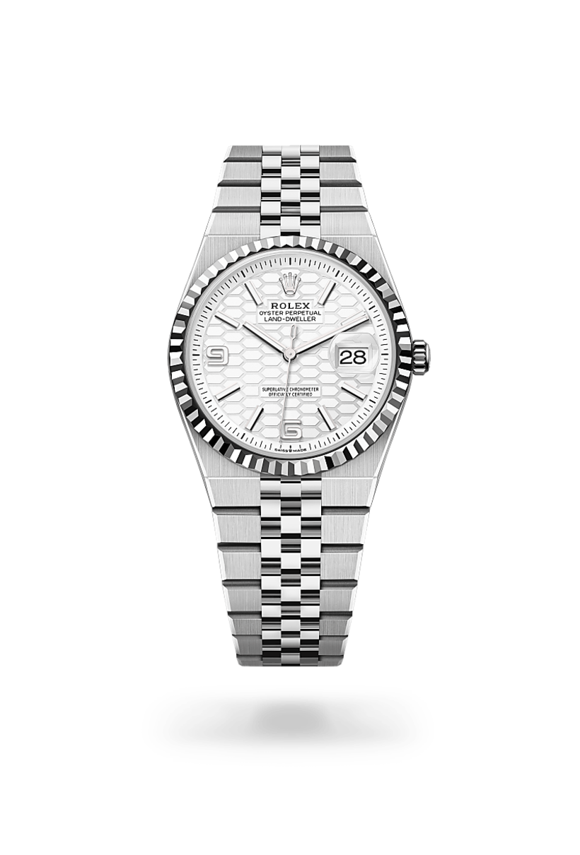 Land-Dweller 36 Image